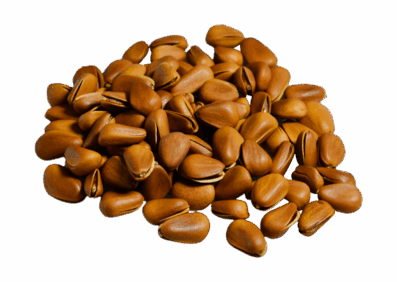 Brown Nuts