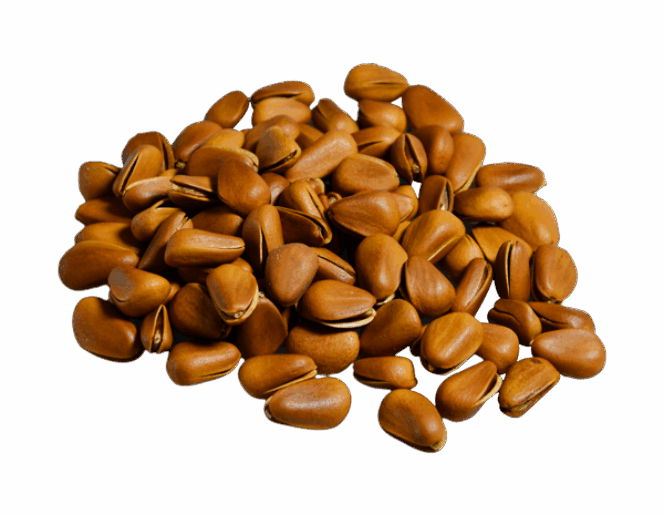 Brown Nuts