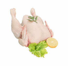 Fresh Full Chicken