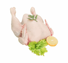 Fresh Full Chicken