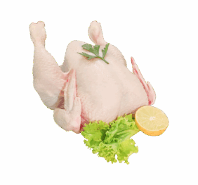 Fresh Full Chicken