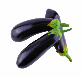 Black Vegan Brinjal