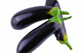 Black Vegan Brinjal
