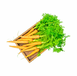Vegan Red Carrot
