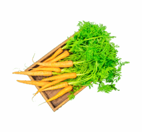 Vegan Red Carrot