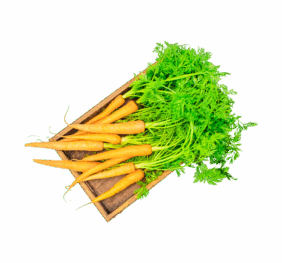 Vegan Red Carrot