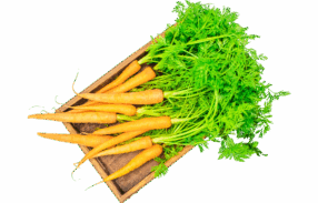 Vegan Red Carrot
