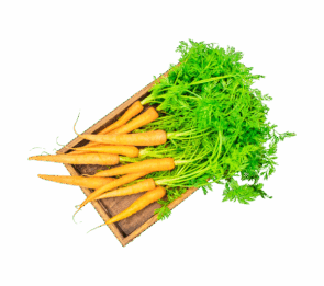 Vegan Red Carrot