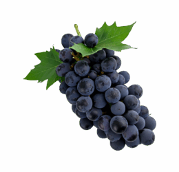 Vegan Grasp Shrubs