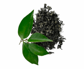 Healthy Green Tea
