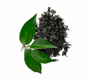 Healthy Green Tea