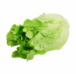 Green Ve Cabbage