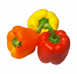 Mixed Vegan Capsicum
