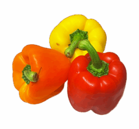 Mixed Vegan Capsicum