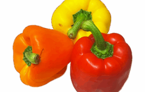 Mixed Vegan Capsicum