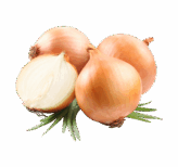 Organ Sweet Onions