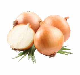 Organ Sweet Onions
