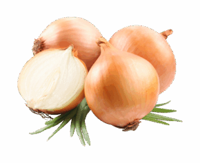 Organ Sweet Onions