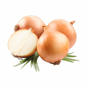 Organ Sweet Onions