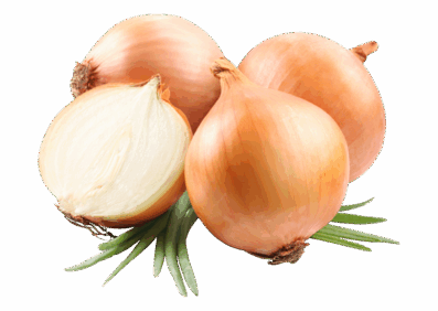 Organ Sweet Onions