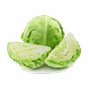 Fresh Greeny Cabbage