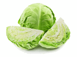 Fresh Greeny Cabbage