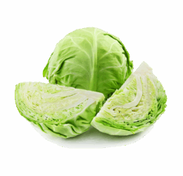Fresh Greeny Cabbage