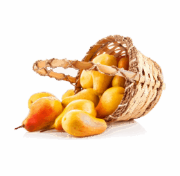Bucket of Sofeda