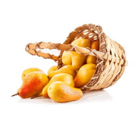 Bucket of Sofeda