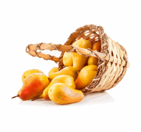 Bucket of Sofeda