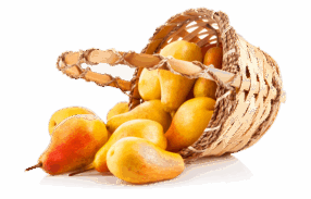 Bucket of Sofeda