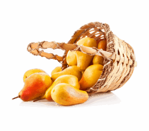 Bucket of Sofeda