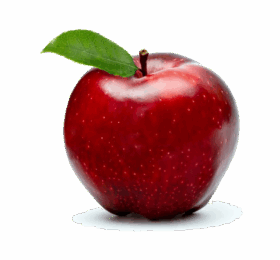 Red Fresh Apple
