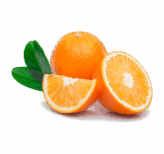 Vegan Fresh Maltas