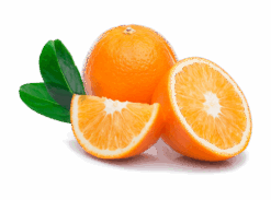 Vegan Fresh Maltas