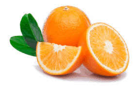 Vegan Fresh Maltas