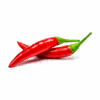 Hot Chili Peper