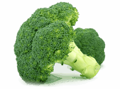 Calabres Broccoli
