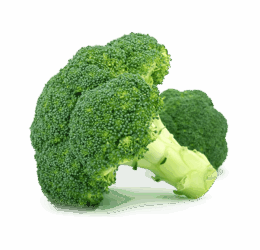Calabres Broccoli
