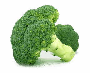 Calabres Broccoli