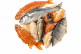 Frozen Seafood